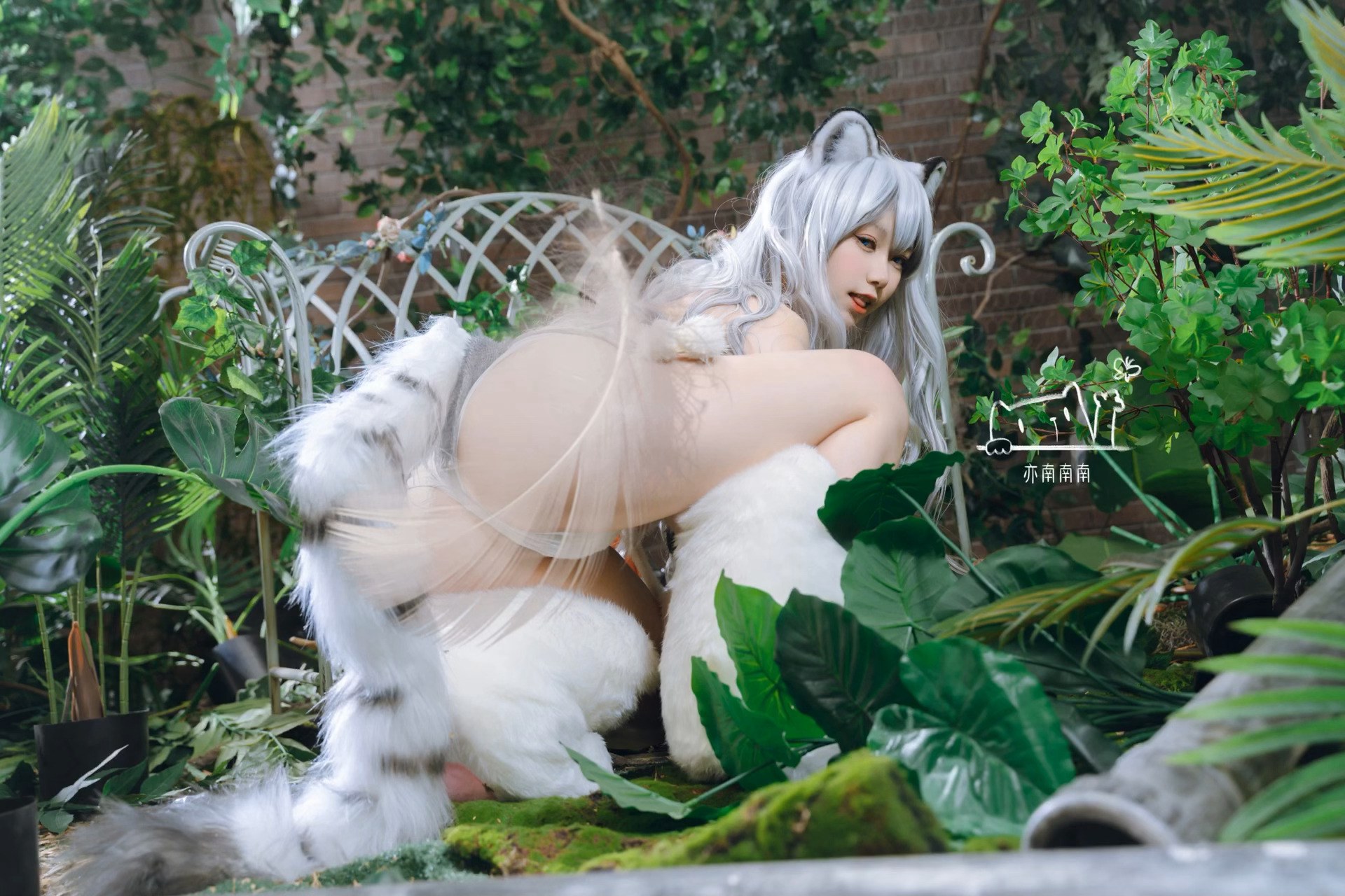 亦南南南(一北亦北) 白虎兽娘COS写真图片