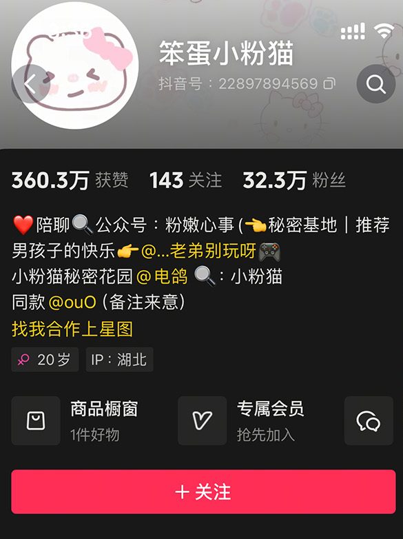 抖音 笨蛋小粉猫 微密圈写真合集 维密圈|秘语 岛遇-第1张