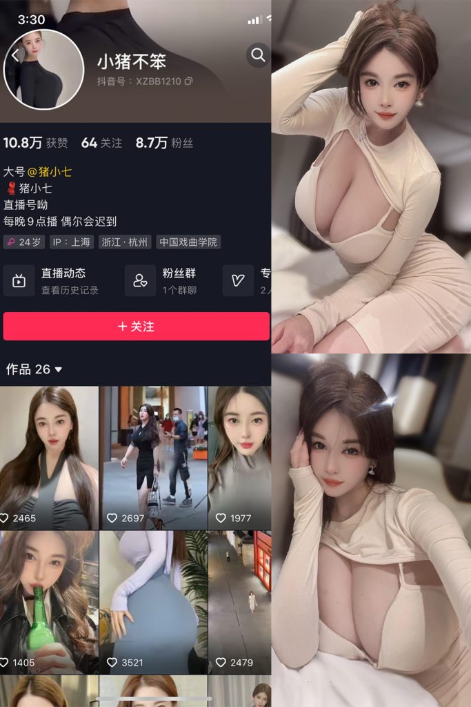 猪小七微密圈写真视频作品合集 维密圈|秘语 岛遇-第1张