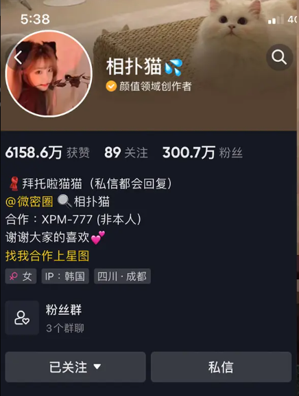 抖音网红相扑猫微密圈图片&视频最新网盘资源合集[持续更新] 维密圈|秘语 岛遇-第1张