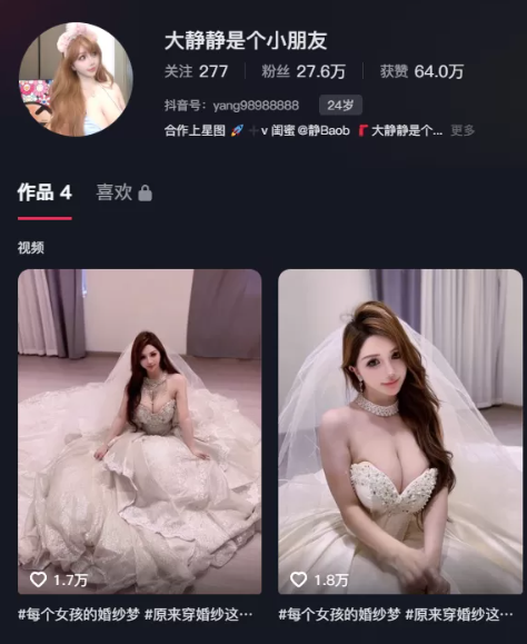 抖音[大静静是个好朋友]铁粉空间视图网盘资源合集打包 维密圈|秘语 岛遇-第1张